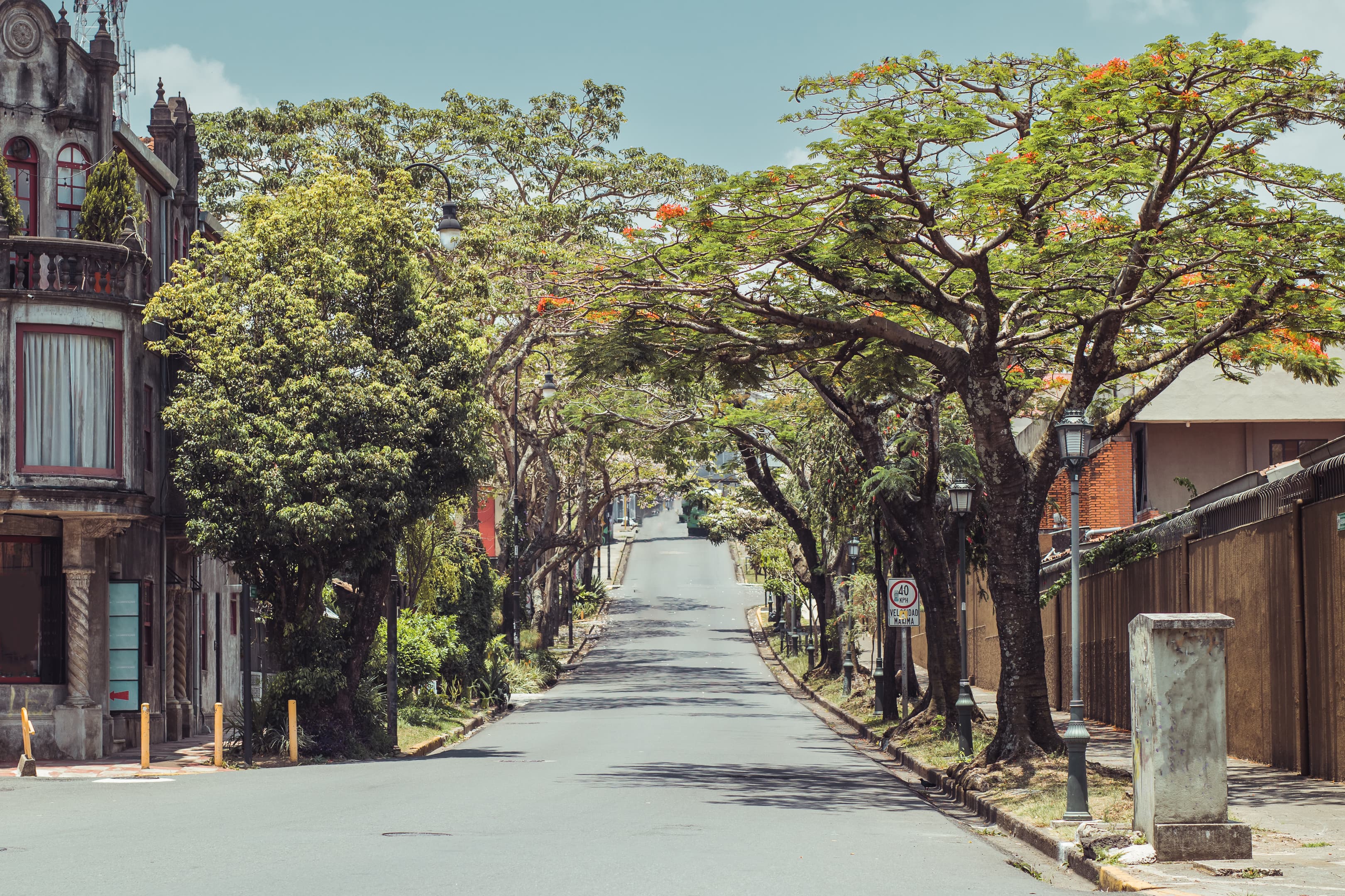 Barrios Amón and Otoya