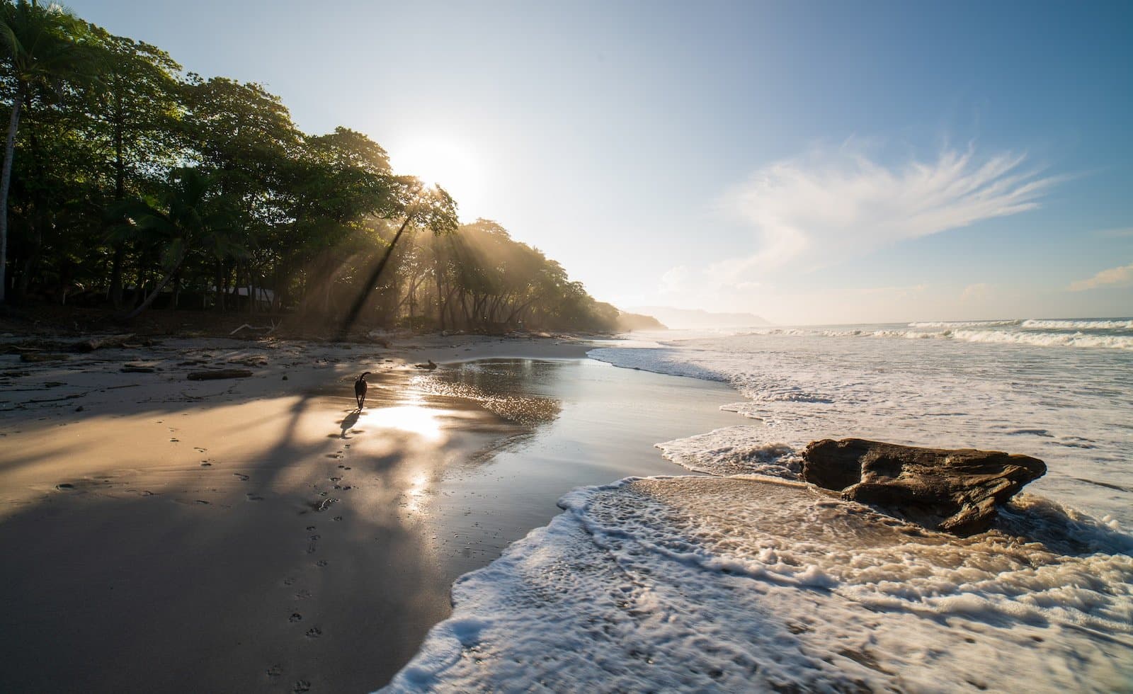 Santa Teresa