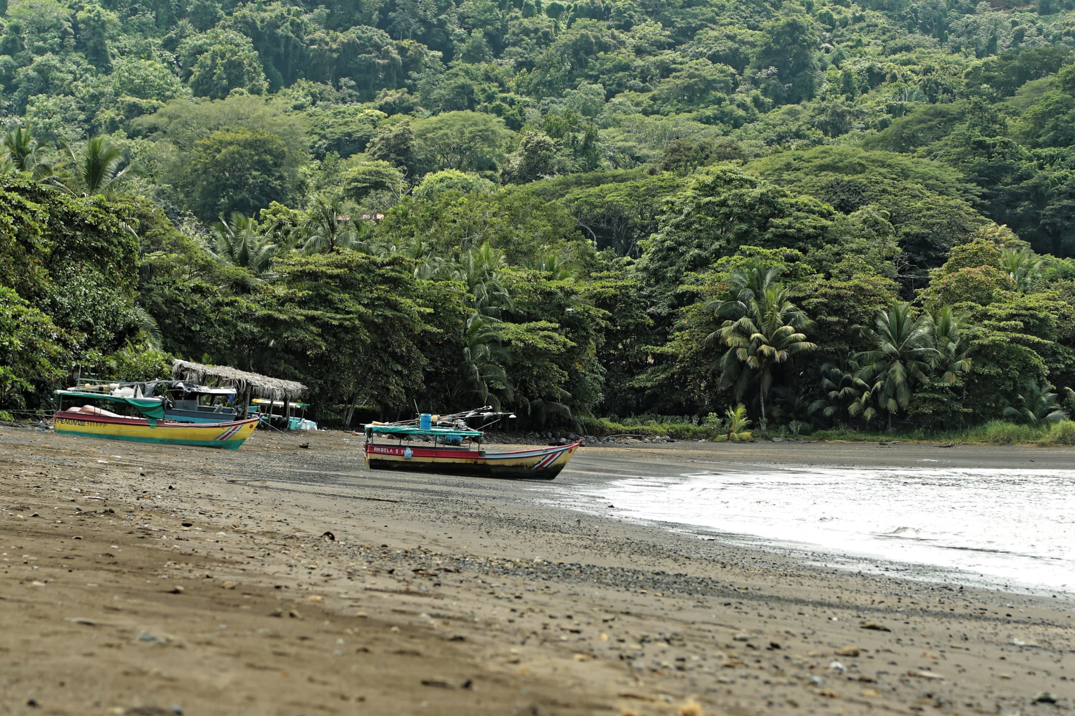 Puerto Jiménez