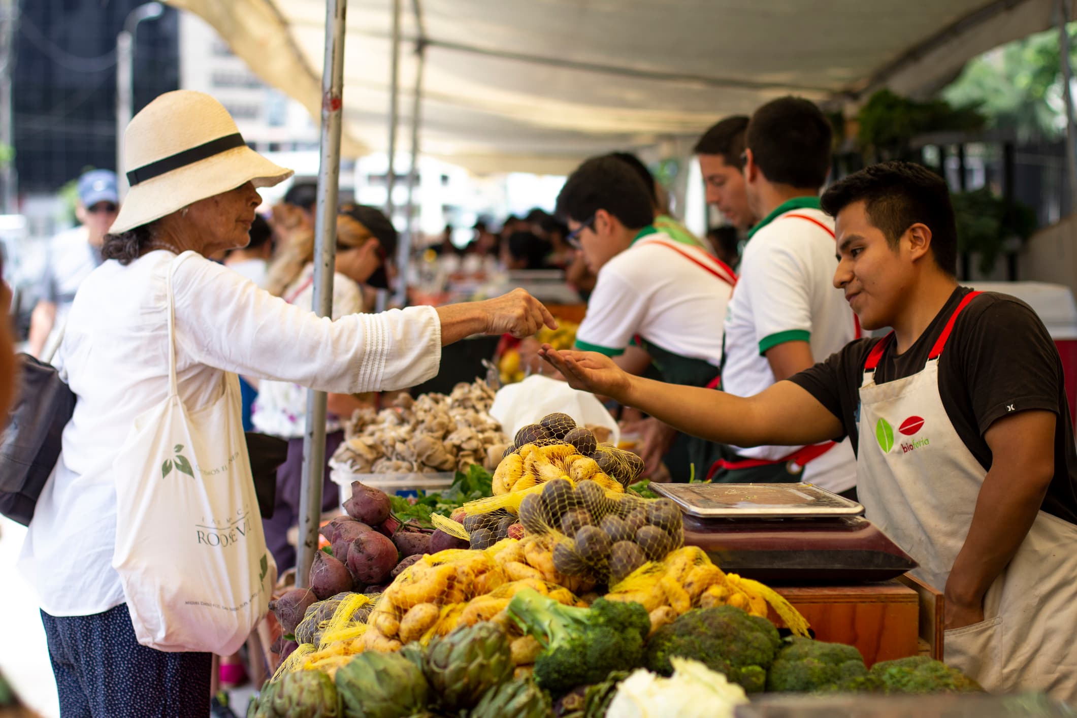 Speak in Spanish: You’re Not Just Visiting, You’re Becoming Part of Something